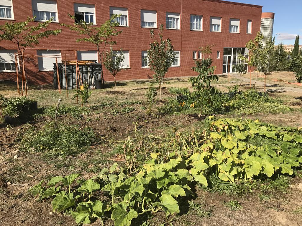 Residencia Universitaria Atilano Coco Salamanca Dış mekan fotoğraf